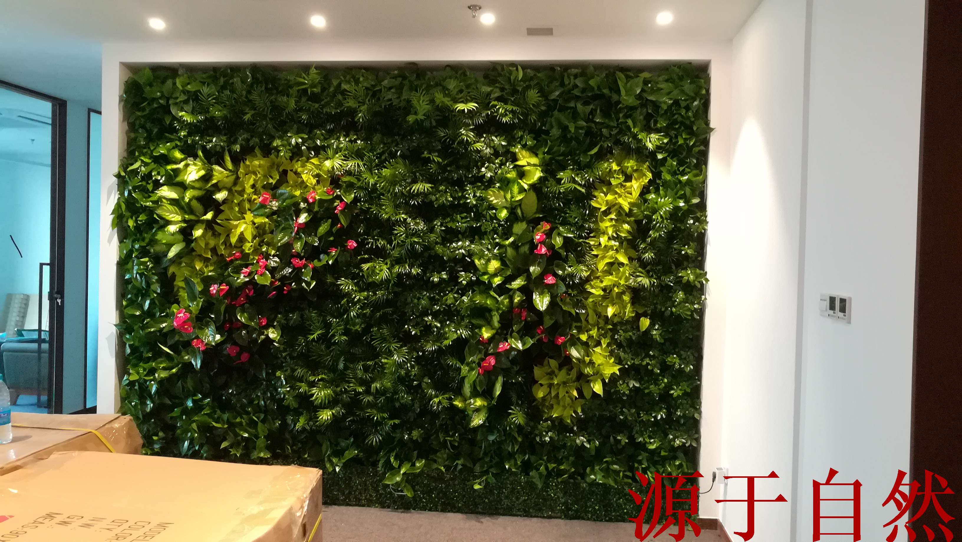 北京植物墻公司-立體植物墻